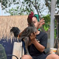 เสียงต้นฉบับ - ป.ตระกูลสวัสดิ์ฟาร์ม  🐔