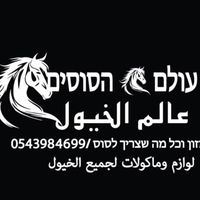 mahmod.kadan
