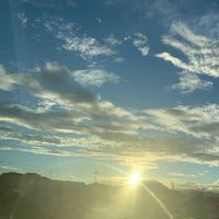 オリジナル楽曲 - ムシマタ
