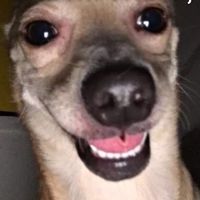 ammy44655