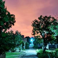 suara asli - mpl