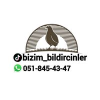 bizim_bildircinler