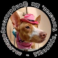 angelesconpatitasver