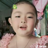 vyvytran0393