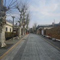 오리지널 사운드 - 🇰🇷유화🎗