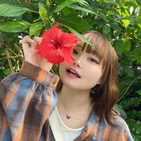 オリジナル楽曲 - 🌳 さわわっち 🌳