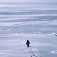 set.off.com
