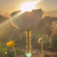 original sound - itsmylifepuma972