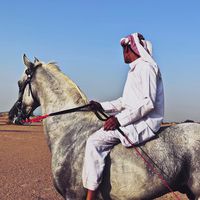 eaz_19