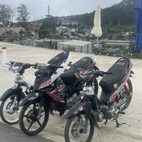 nhạc nền - tài báo minhon