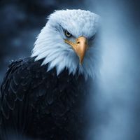 original sound - ☞︎︎︎🇧🇩🅟︎🅐︎🅥︎🅔︎🅛︎🇸🇬☜︎︎