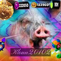 kloun20102