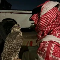 original sound - dawas_el_dalma