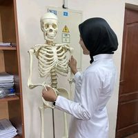 doc__mina