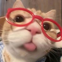 suara asli - LNFF_LOGIN AL-ULUM