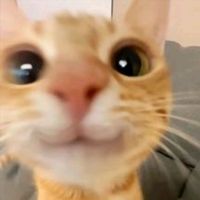 deuwudmf38r