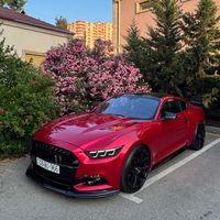 pashayev966