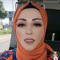 demet_gull