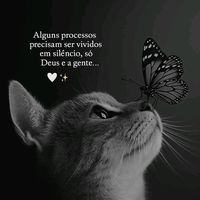 amor.de.deus.maravilhoso