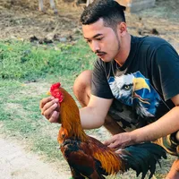 original sound - sun_shine1112