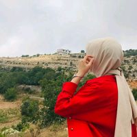 hevesimgitti_