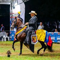 antoniogrisales44