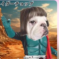 オリジナル楽曲 - 🐕悠未(ゆみ)🐾🏄‍♂️