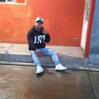 esepajarito2
