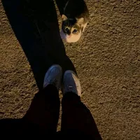 original sound - r_r_p_m