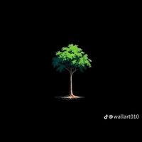 carlos___aguavil234