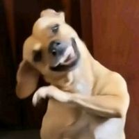 Mira amigaaa no es europa es PY