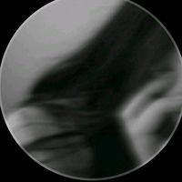 sarita.karki73