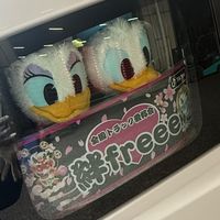cocco_e51