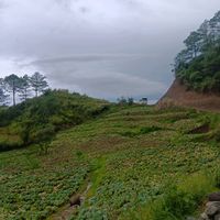 klint197