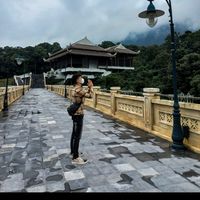 nhạc nền - 鹤轩