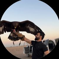 sha7ban17
