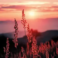 original sound - akhwatprivasi__