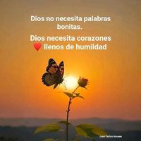 acuario_3004