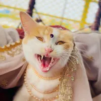 original sound - its_me_feriha