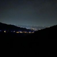 原聲 - 走了都走了