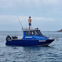 wills.boat
