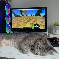predosoldadinpc