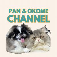 pan.okome_channel