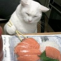 เสียงต้นฉบับ - YukiCat.。.:*☆