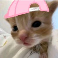suara asli - glxsyy
