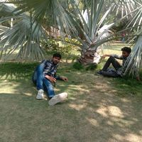 shyam.maratha