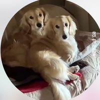 original sound - 🐕Coco&Crunch🐕