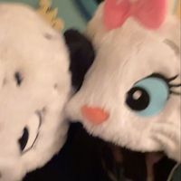 xy__.o