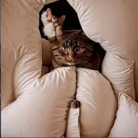 original sound - g7black24