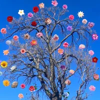 original sound - w_e_s_t_09